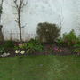 March_003