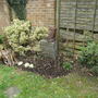 March_007