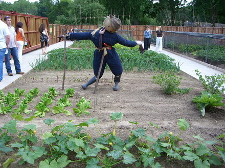 St Allotment