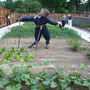 St Allotment