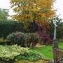 Picture_008
