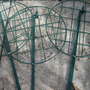 Plant_supports_3