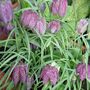 March_2008_001