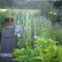 Imag0285