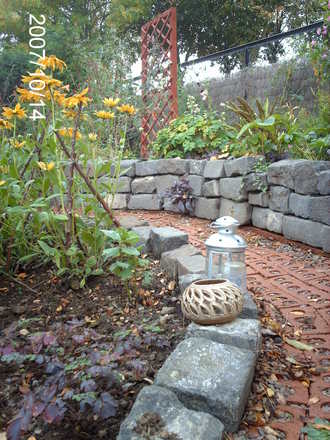 Rudbeckia supports
