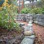 Rudbeckia supports