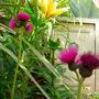 Image024