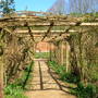 Walled Garden