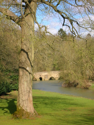 DSCN1719.jpg
