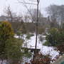 Pond_easter_08