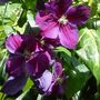Image030