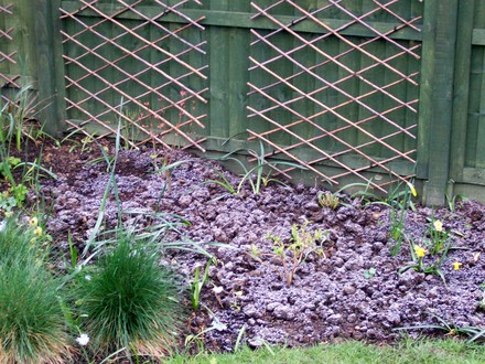 Changes to edge of the woodland bed