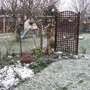 Blizard_6