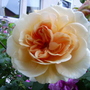 Captured_2007-6-9_00049