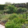 Pict0995