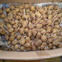 POTATOES SPROUTING