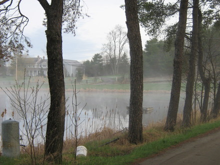 clay lined farm pond...early spring..early morning.