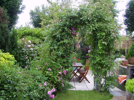 Rose Arch from the other angle looking down the garden