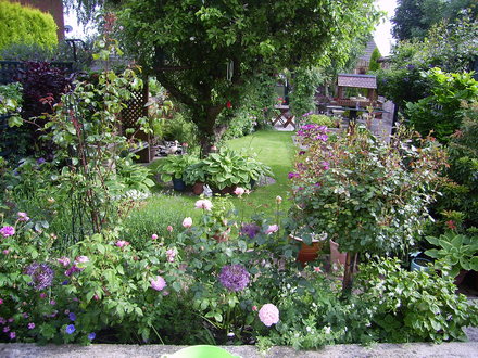 Looking down garden from patio