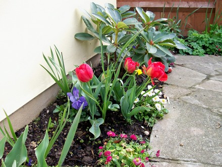 Front garden
