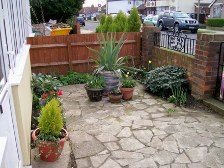 front garden  - side view