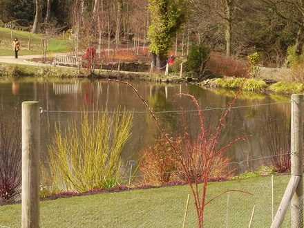 Captured_2008-3-24_00012.jpg