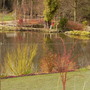 Captured_2008-3-24_00012.jpg