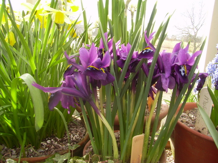 Captured_2008-3-24_00016.jpg