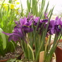 Captured_2008-3-24_00016.jpg