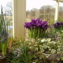 Captured_2008-3-24_00014.jpg