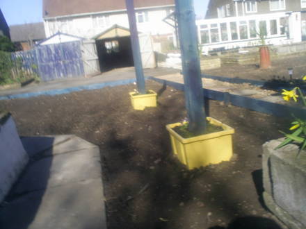 hammock site ready to be grassed