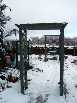 Easter Sunday- My garden
