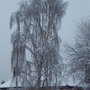 100_0917