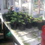 The_patch_284