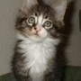 Charlie