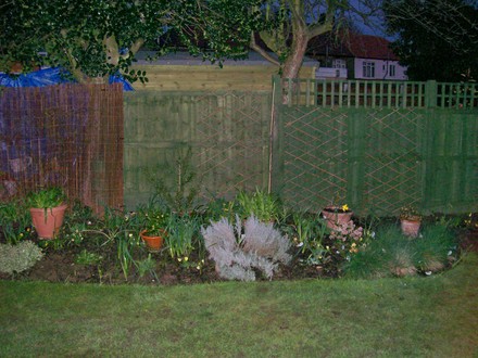 new addition to woodland bed