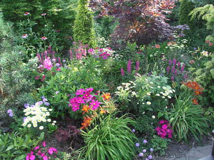 Perennials