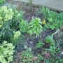 Outside_009