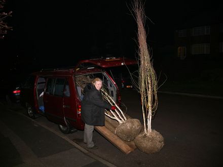 Moving trees in the dark