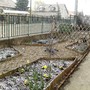 Pict0605