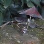 Frog_ornament