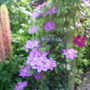 Lucky_pics_020