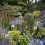Lower Garden Summer