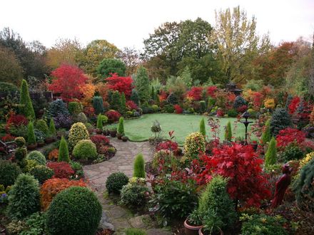 Autumn upper garden - 1st November 2007