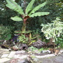 Fall_flowers_10-6-06_082