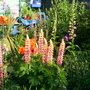 Lucky_pics_014