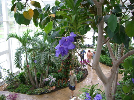 Wisley