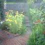 Imag0282