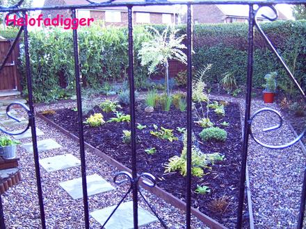 The side garden finished