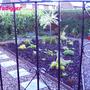 Thruthegate0907
